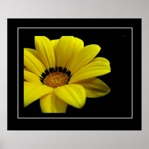 Poster-Yellow Daisy Poster