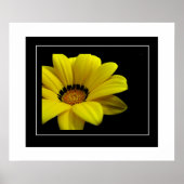 Poster-Yellow Daisy Poster (Vorne)