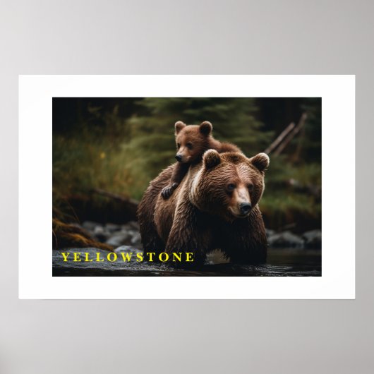 Poster-Yellowstone-Bär Poster (Vorne)
