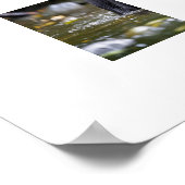 Poster Yellowstone Bärenkuppe (Ecke)