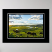 Poster Yellowstone Buffalo (Vorne)