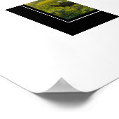 Poster Yellowstone Buffalo (Ecke)