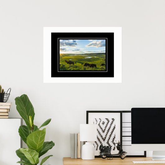 Poster Yellowstone Buffalo (Heimbüro)