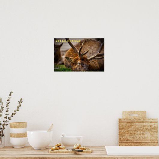 Poster Yellowstone Elch (Küche)