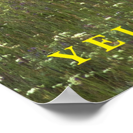 Poster Yellowstone Elch (Ecke)