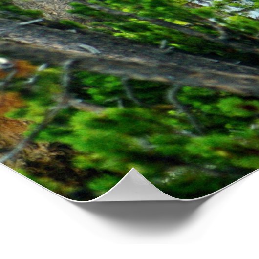 Poster Yellowstone Falls (Ecke)