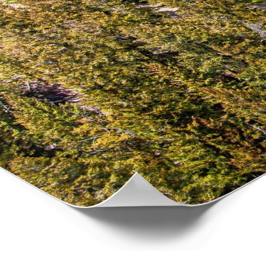 Poster Yellowstone River Canyon (Ecke)