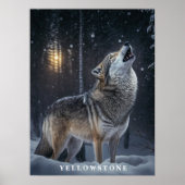 Poster Yellowstone Wolf (Vorne)