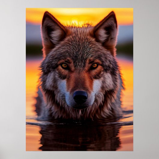Poster Yellowstone Wolf (Vorne)