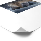 Poster Yellowstone Wolf (Ecke)
