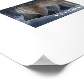 Poster Yellowstone Wolf (Ecke)