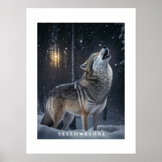Poster Yellowstone Wolf (Vorne)