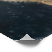 Poster Yellowstone Wolf (Ecke)