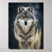 Poster Yellowstone Wolf (Vorne)