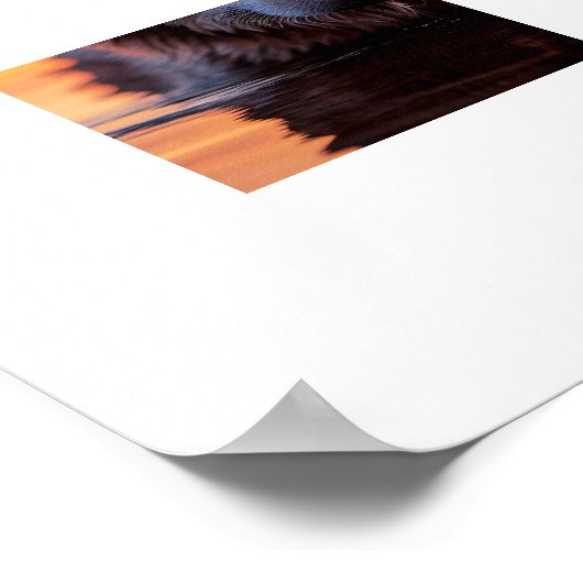 Poster Yellowstone Wolf (Ecke)