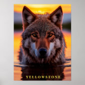 Poster Yellowstone Wolf (Vorne)
