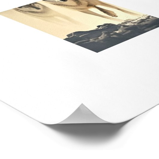 Poster Yellowstone Wolves (Ecke)