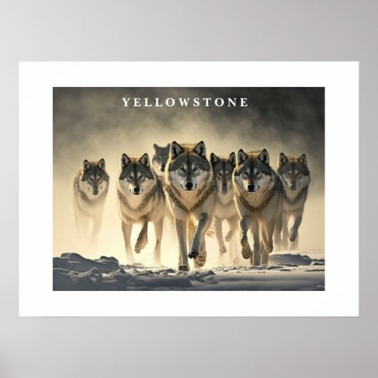 Poster Yellowstone Wolves (Vorne)