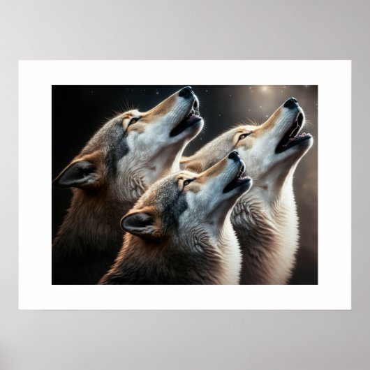 Poster Yellowstone Wolves (Vorne)