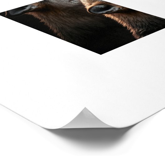 Poster Yellowstone Wolves (Ecke)