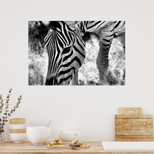 Poster Zebra nah (Küche)
