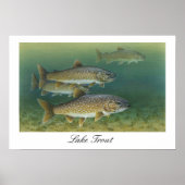 Poster zum Malen von Forellen (Vorne)