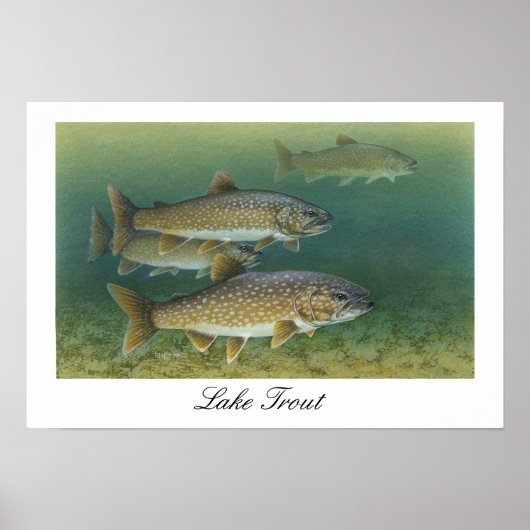 Poster zum Malen von Forellen (Vorne)