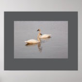 Poster zum Schwimmen (Vorne)