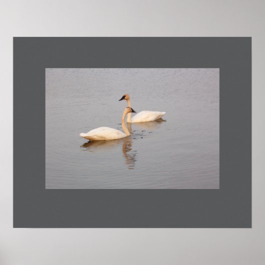 Poster zum Schwimmen (Vorne)