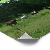 Poster zur Unterstützung von Rassenpferden (Ecke)