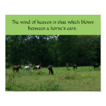 Poster zur Unterstützung von Rassenpferden