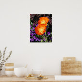 Poster, zwei Orange Island Poppies Poster (Küche)