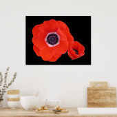 Poster, zwei perfekte rote Pflaumen. Poster (Küche)