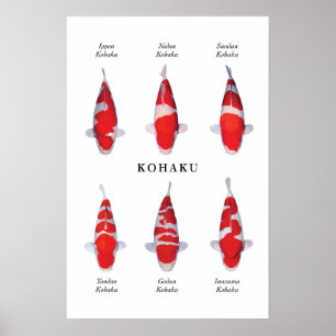 Posterart japanischer Koi-Fisch: Kohaku Poster