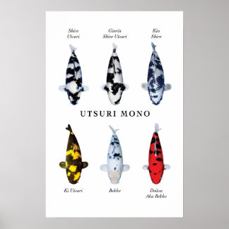 Posterart japanischer Koi-Fisch: Utsurimono Poster