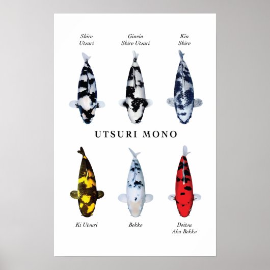 Posterart japanischer Koi-Fisch: Utsurimono Poster (Vorne)