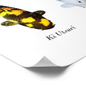 Posterart japanischer Koi-Fisch: Utsurimono Poster (Ecke)