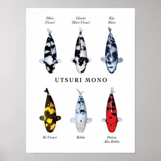 Posterart japanischer Koi-Fisch: Utsurimono Poster (Vorne)