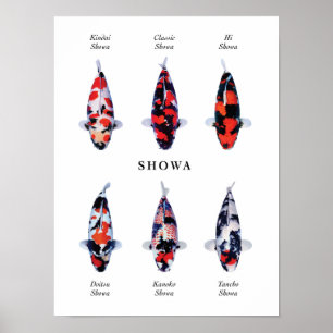 Posterart japanischer Koi-Fische: Showa Poster