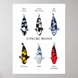 Posterarten von japanischen Koi-Fischen: Utsurimon Poster