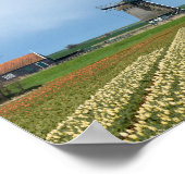 Posterdruck für Windmühle und Tulpen Poster (Ecke)