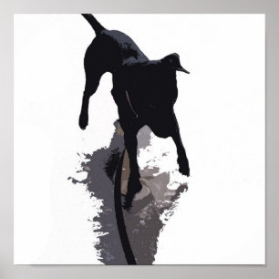 posterized Hund und Schatten Poster