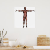 Postermuskel Poster (Küche)