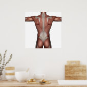 Postermuskel Poster (Küche)