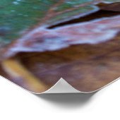 Posterpapier vom Herbst (Matte) Poster (Ecke)