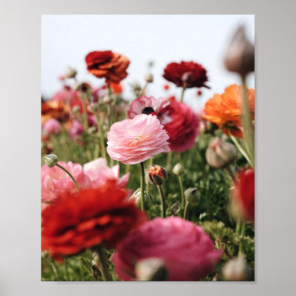 Posterprint mit rosa und roter Blume Poster