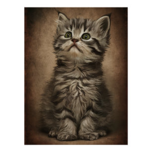 Posters Dives Cat 4 Poster