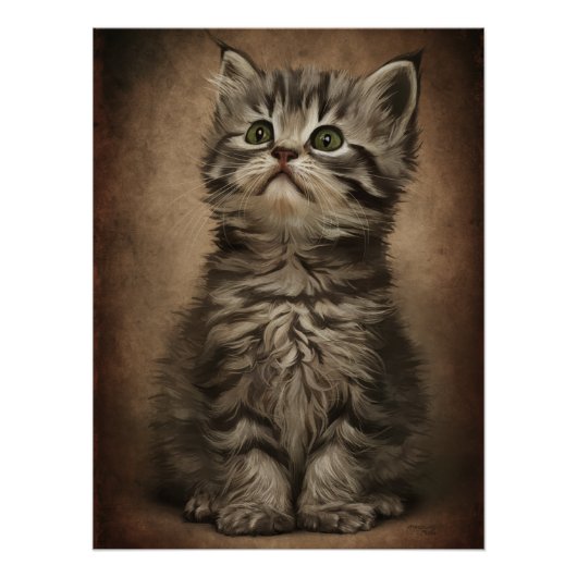 Posters Dives Cat 4 Poster (Vorderseite)