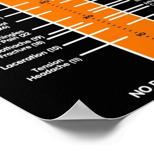 POSTERS.. McGill Pain Scale Poster (Ecke)