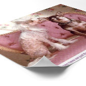 Posters Poster (Ecke)